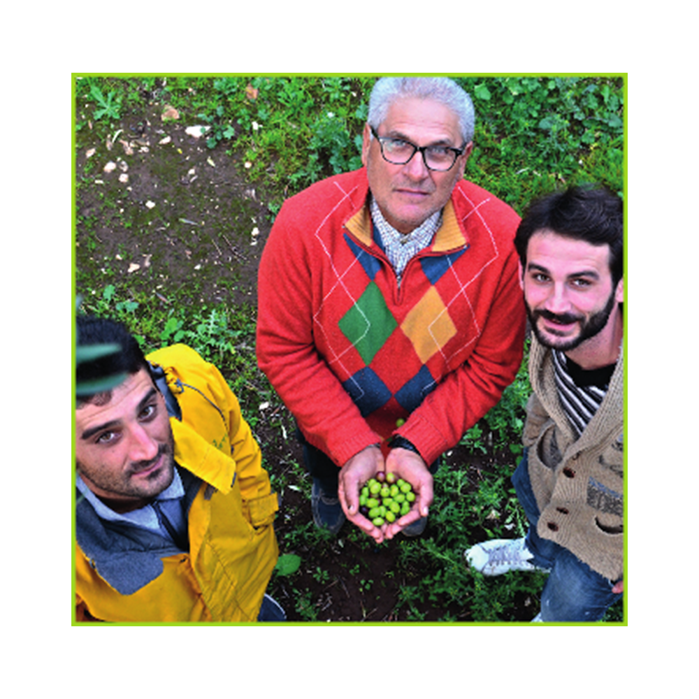 GangaLupo Extra Virgin Olive Oil (500ml) - 100% Coratina
