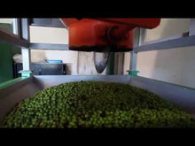 Load and play video in Gallery viewer, La Maja Extra Virgin Olive Oil (500ml) - Arbequina, Arroniz &amp; Empeltre Blend
