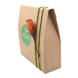 Organic Essentials Gift Box – Set of Premium Organic Extra Virgin Olive Oils (3x500ml)