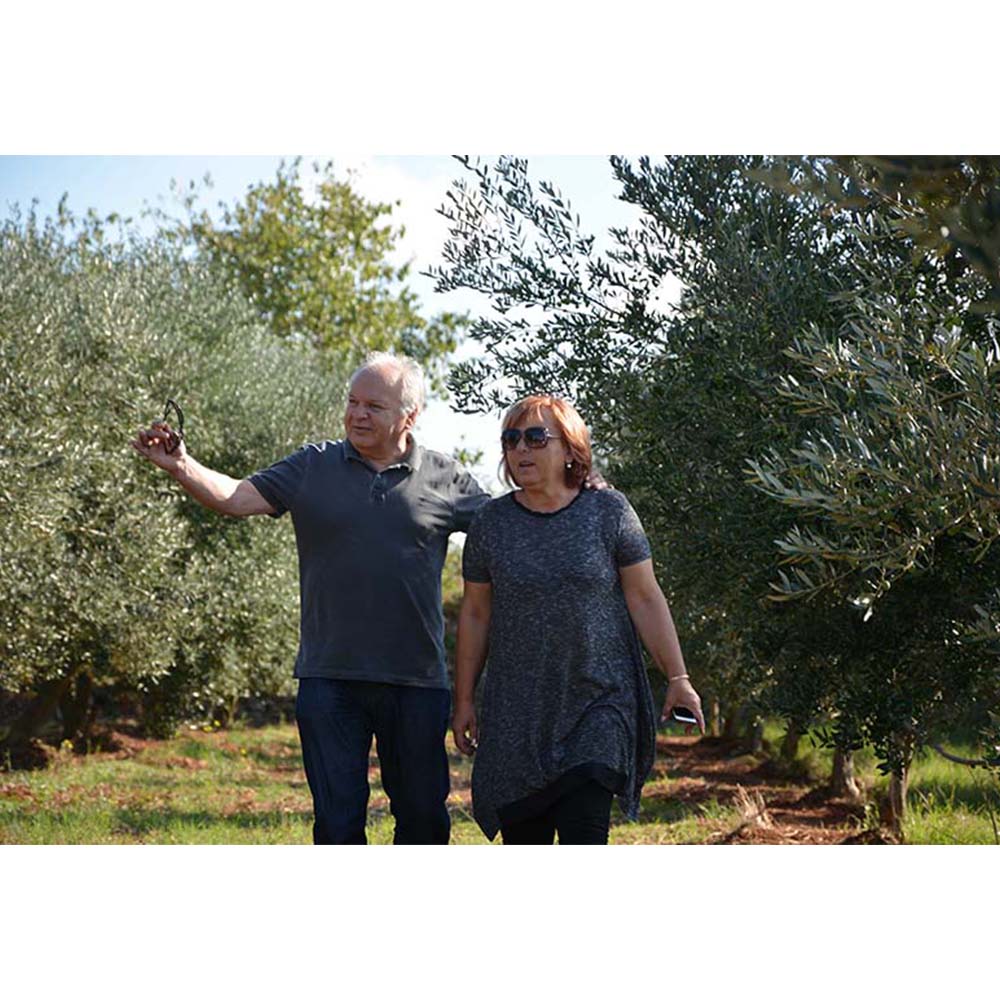 Olea BB Extra Virgin Olive Oil (500ml) - 100% Buža