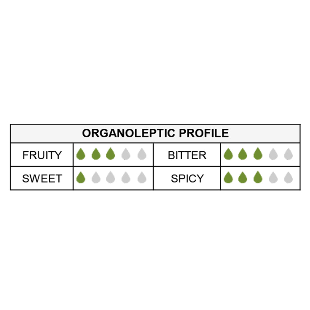 Franci Biologico IGP Toscano Organic Extra Virgin Olive Oil (500 ml) - Frantoio, Moraiolo, Leccino & Olivastra Blend